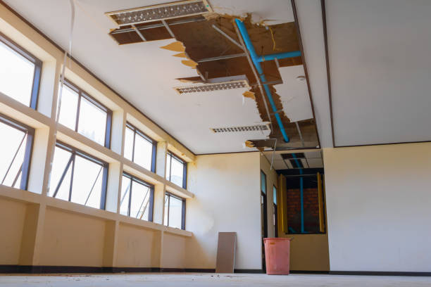 Best Professional water damage repair  in Archdale, NC