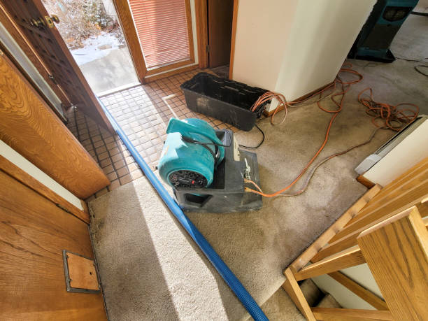 Best Fire Damage Restoration  in Archdale, NC