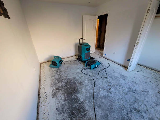 Best Carpet water damage restoration  in Archdale, NC