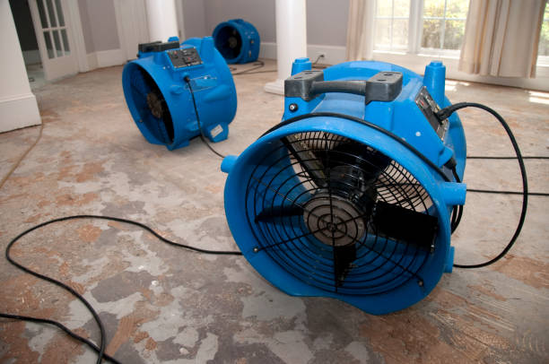 Best Sewage cleanup and water damage restoration  in Archdale, NC