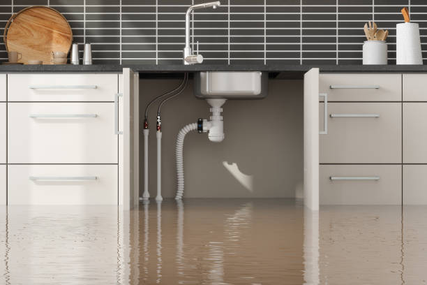 Best Water damage cleanup near me  in Archdale, NC