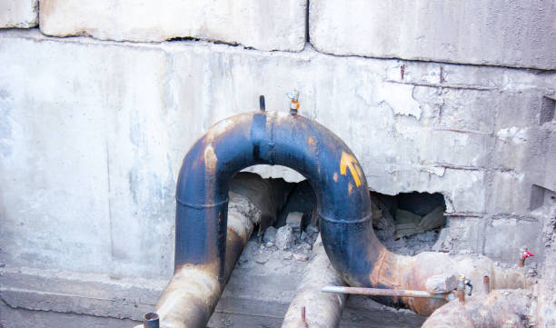 Best Carpet water damage restoration  in Archdale, NC