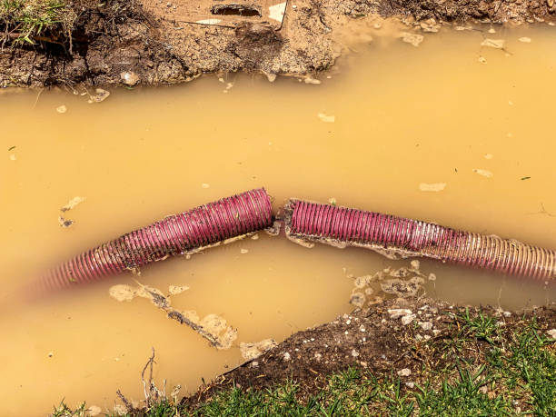 Best Basement water damage restoration  in Archdale, NC