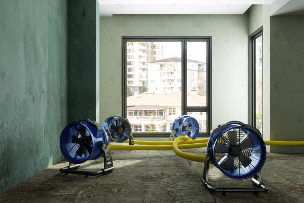 Best Commercial water damage restoration  in Archdale, NC