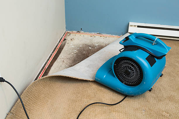 Best Residential water damage restoration  in Archdale, NC
